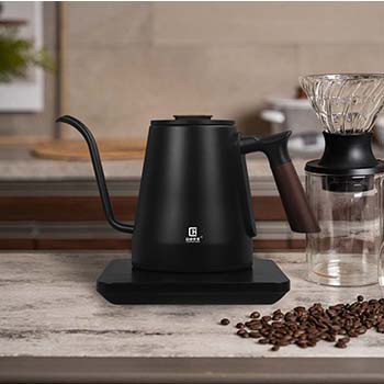 Bullidor elèctric amb control de la temperatura de botes de coll